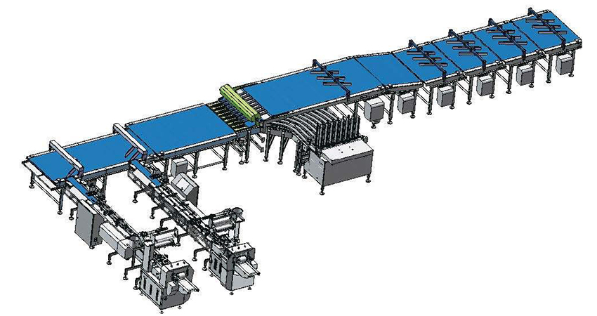 Multi-channel tray loading packaging line for biscuit